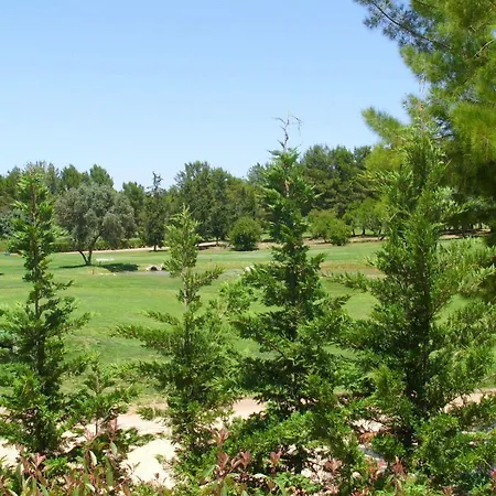 Alto Fairways アルヴォル